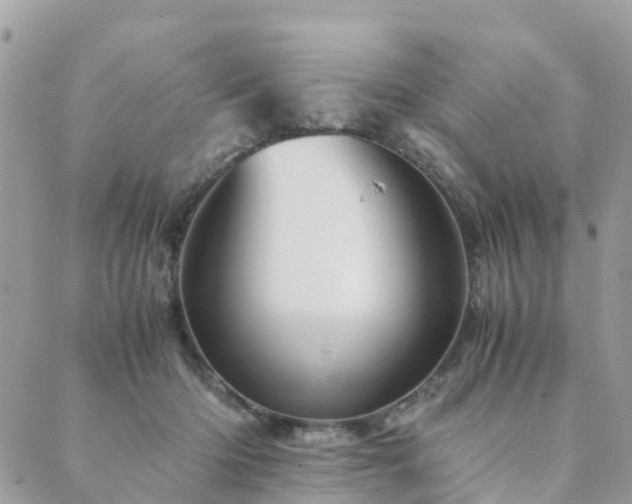 X0000089930414200706291202