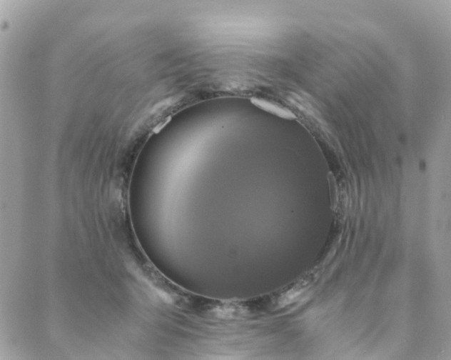 X0000089930415200706291202