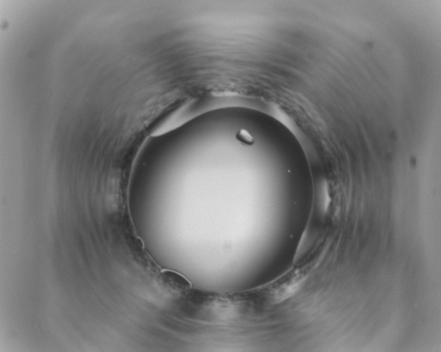 X0000089930416200706291202