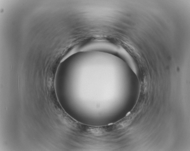 X0000089930417200706291202