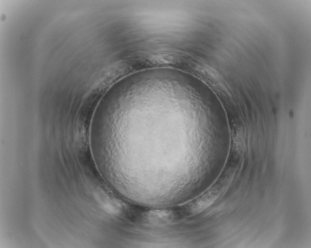 X0000089930418200706291202