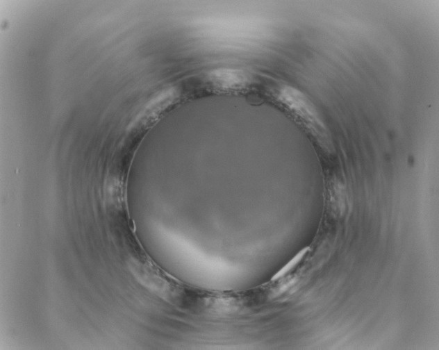 X0000089930419200706291202