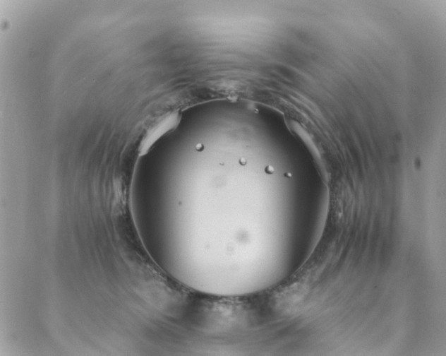 X0000089930420200706291202