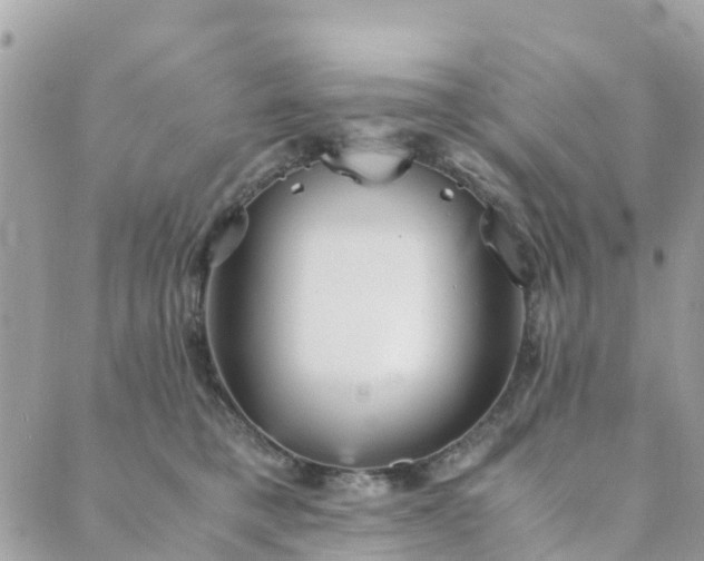 X0000089930421200706291202