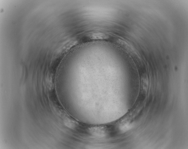 X0000089930422200706291202