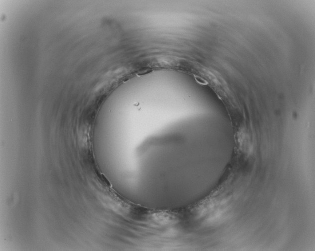 X0000089930423200706291202