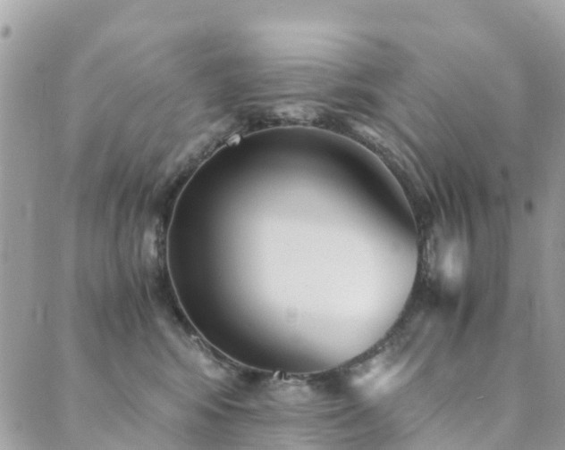 X0000089930424200706291202