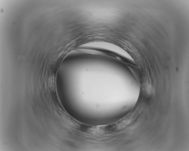 X0000089930425200706291202