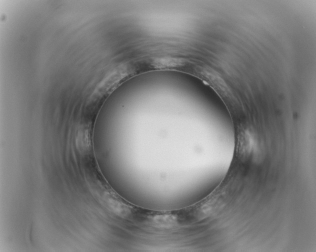 X0000089930426200706291202