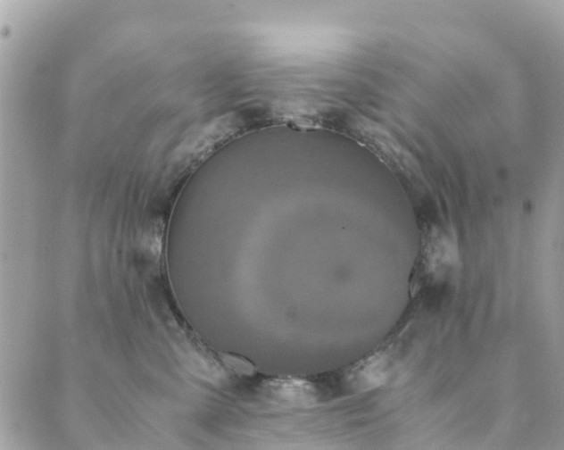 X0000089930427200706291202