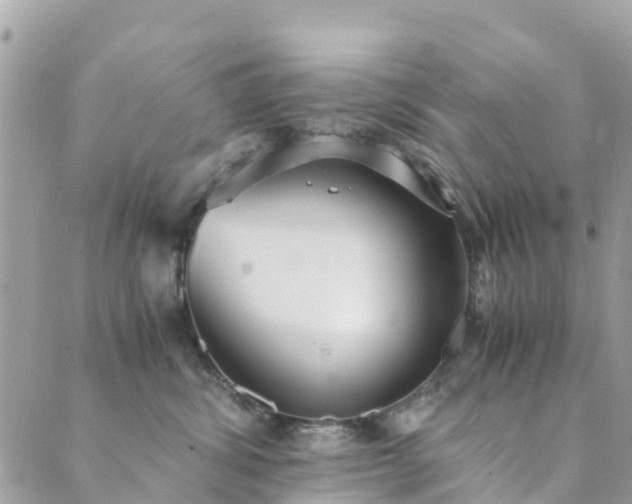 X0000089930428200706291202