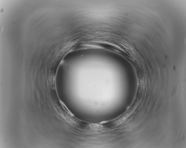 X0000089930429200706291202