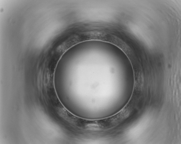 X0000089930430200706291202