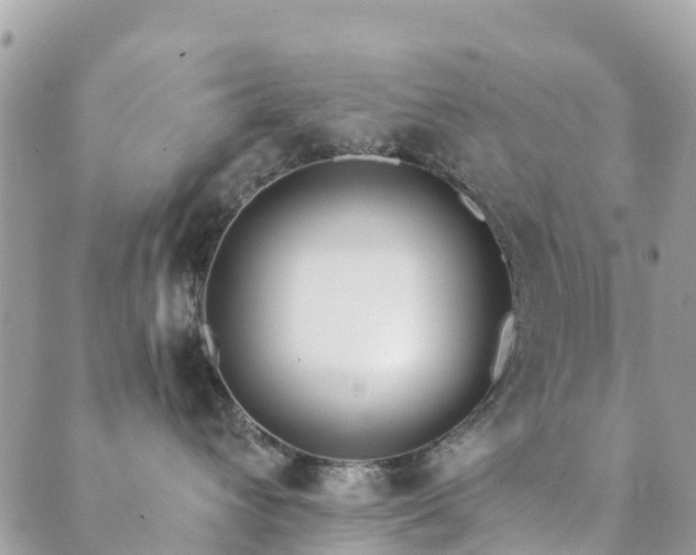 X0000089930432200706291202