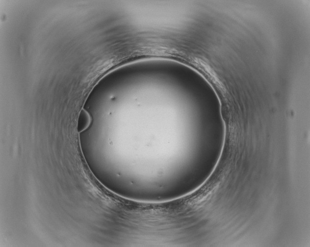 X0000089930433200706291201