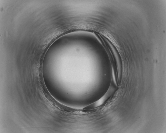 X0000089930434200706291201