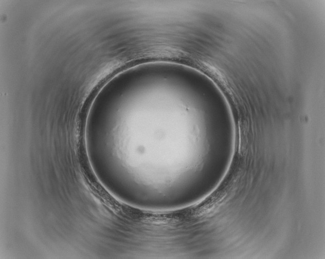 X0000089930435200706291201