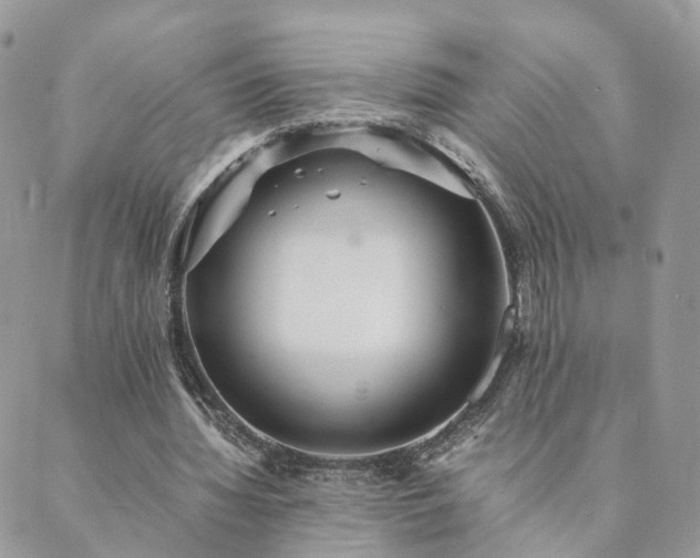 X0000089930436200706291201