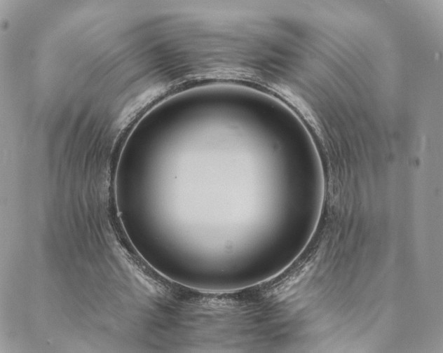 X0000089930437200706291201