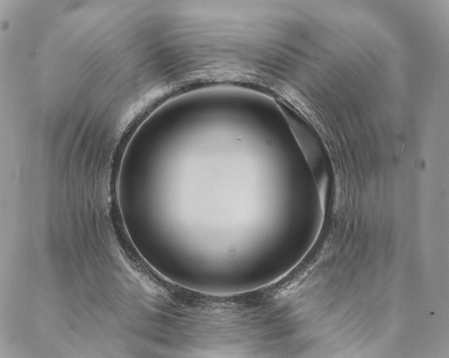 X0000089930438200706291201