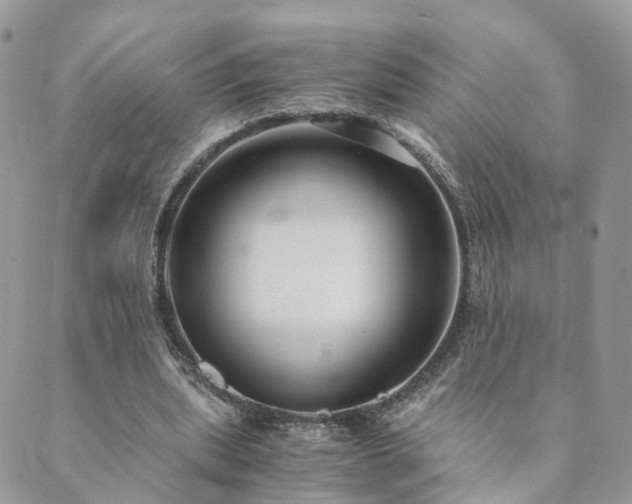 X0000089930439200706291201