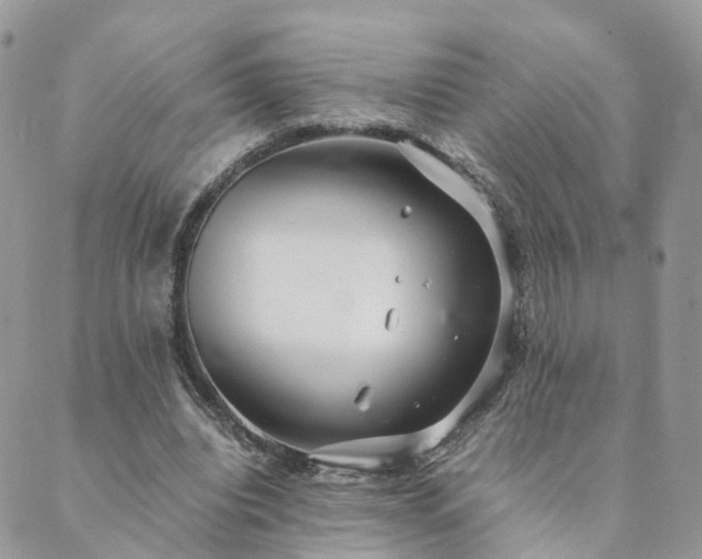 X0000089930440200706291201