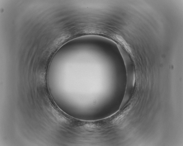 X0000089930441200706291201