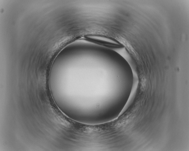 X0000089930442200706291201