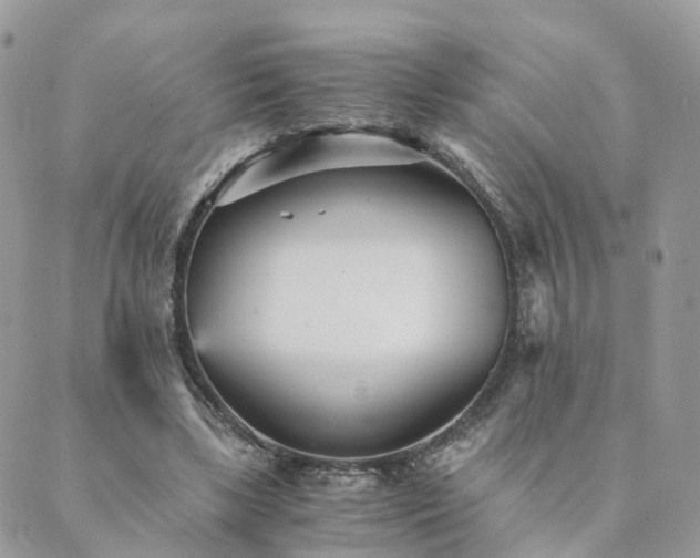 X0000089930443200706291202