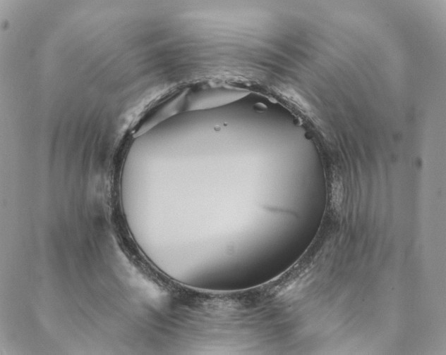 X0000089930444200706291202