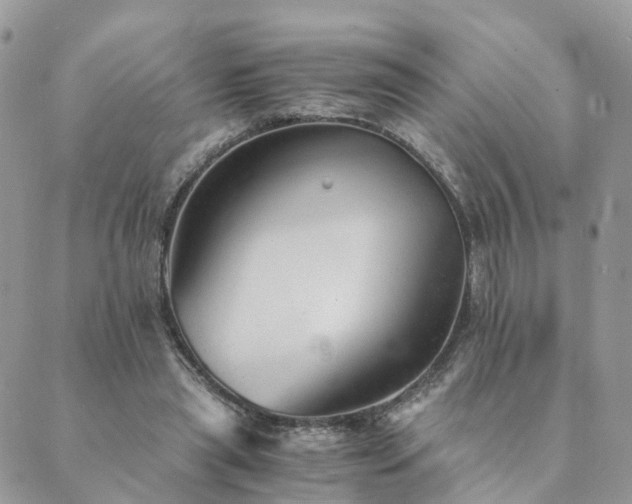 X0000089930445200706291202