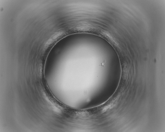 X0000089930446200706291202