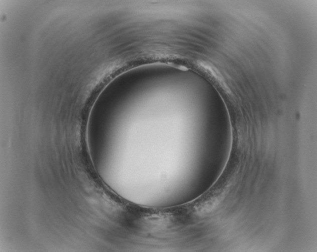 X0000089930447200706291202