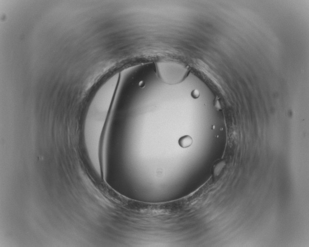 X0000089930448200706291202