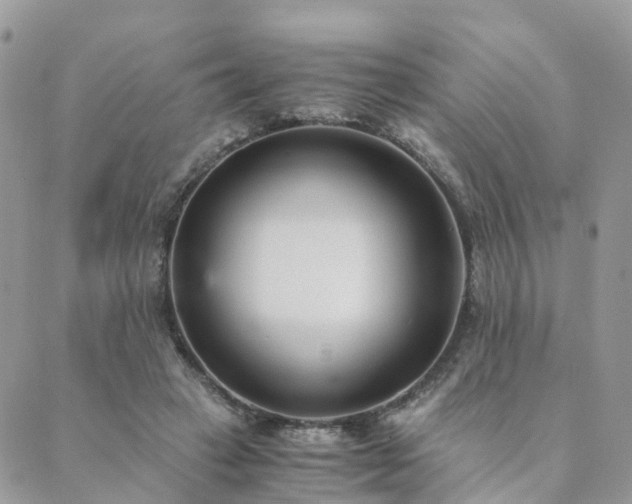 X0000089930449200706291202