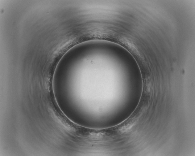 X0000089930450200706291202