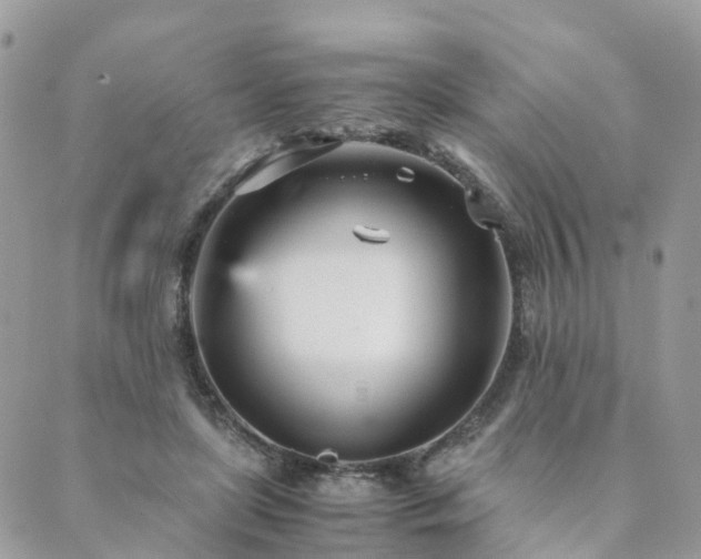 X0000089930451200706291202