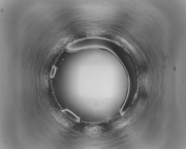 X0000089930452200706291202