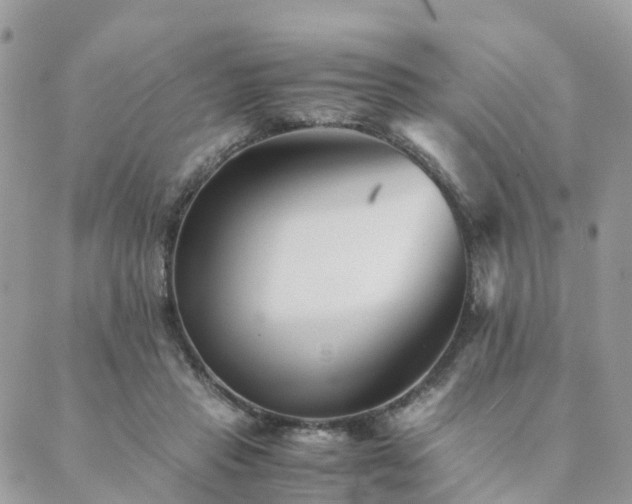 X0000089930453200706291202