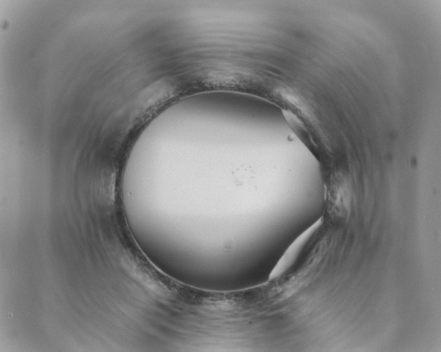 X0000089930454200706291202