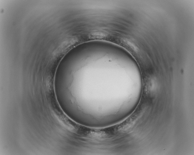 X0000089930455200706291202