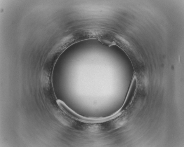 X0000089930456200706291202