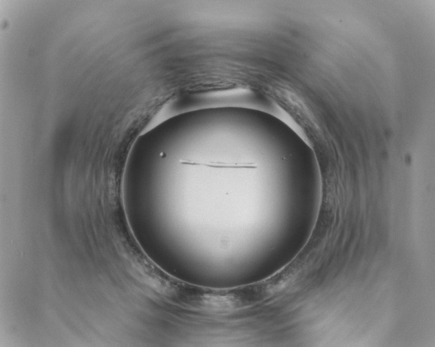 X0000089930457200706291202