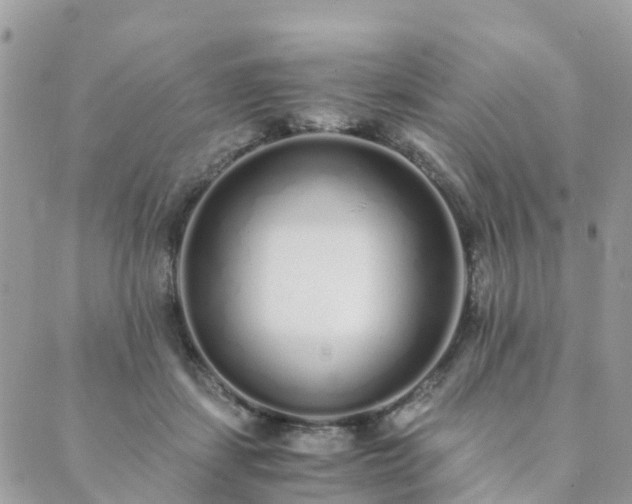 X0000089930459200706291202