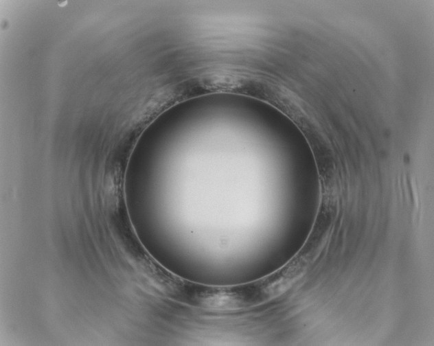 X0000089930460200706291202