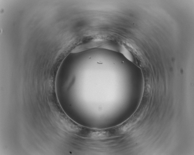 X0000089930461200706291202