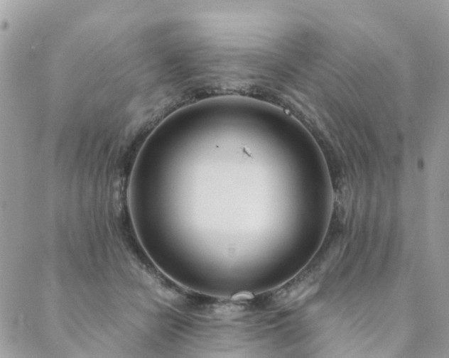 X0000089930462200706291202