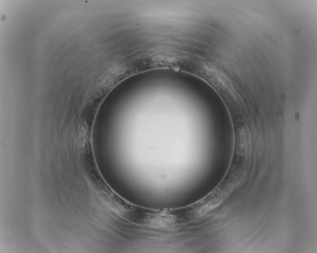 X0000089930463200706291202