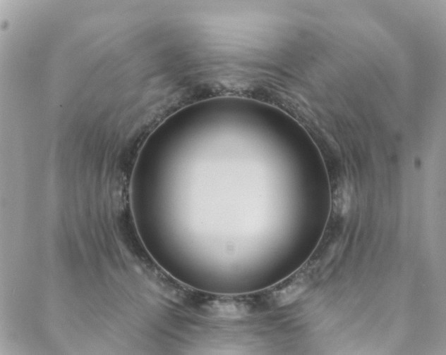 X0000089930464200706291202