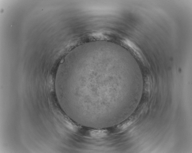 X0000089930465200706291202